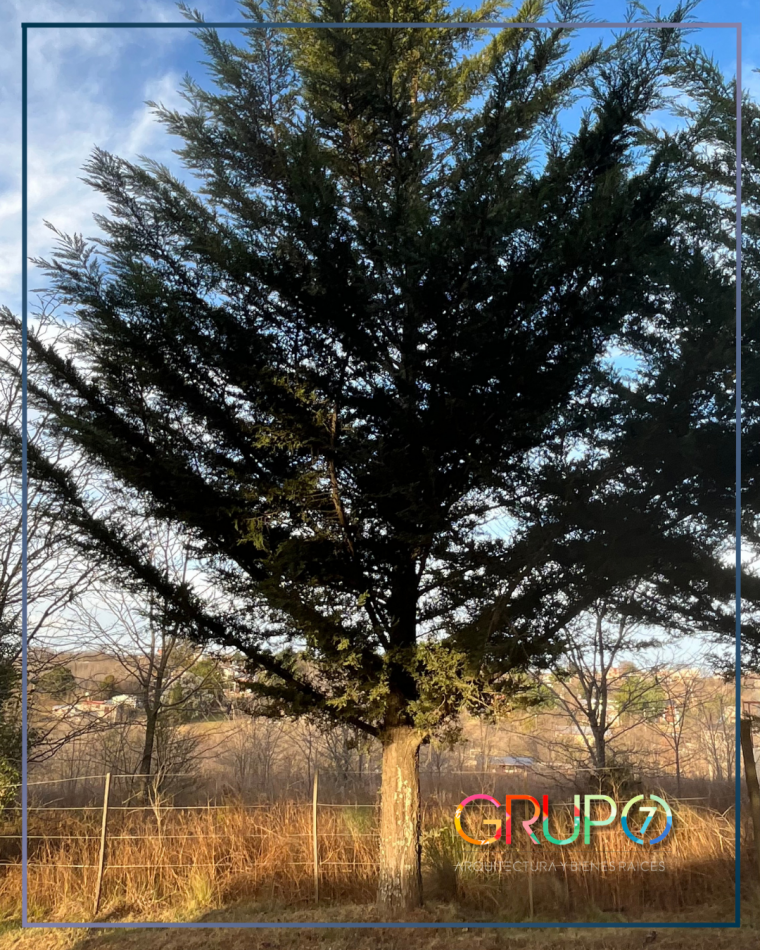 terreno en Villa Yacanto, Calamuchita