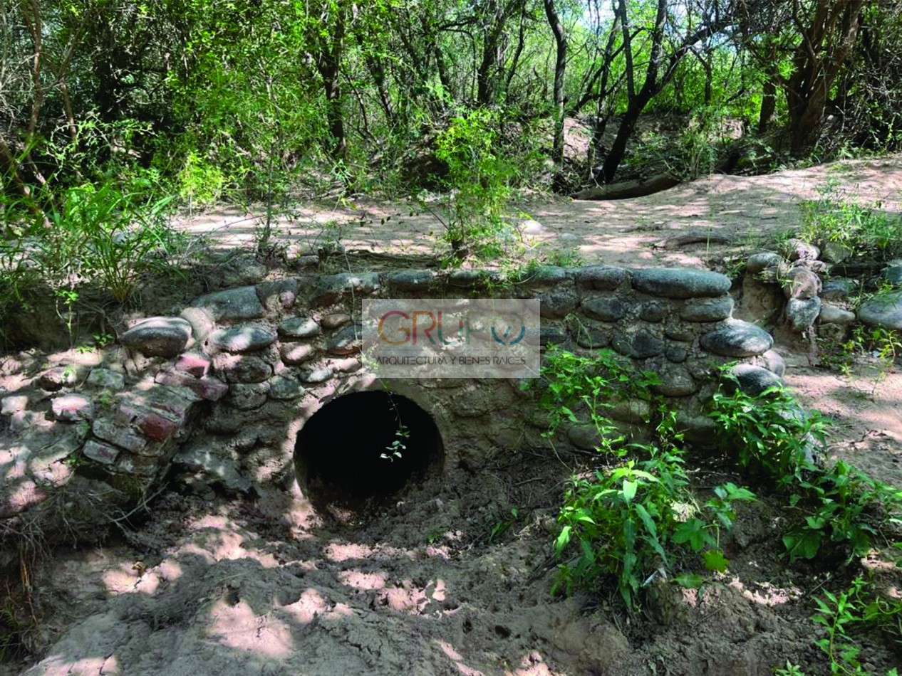 Campo de Olivos en Cruz del Eje, Cordoba